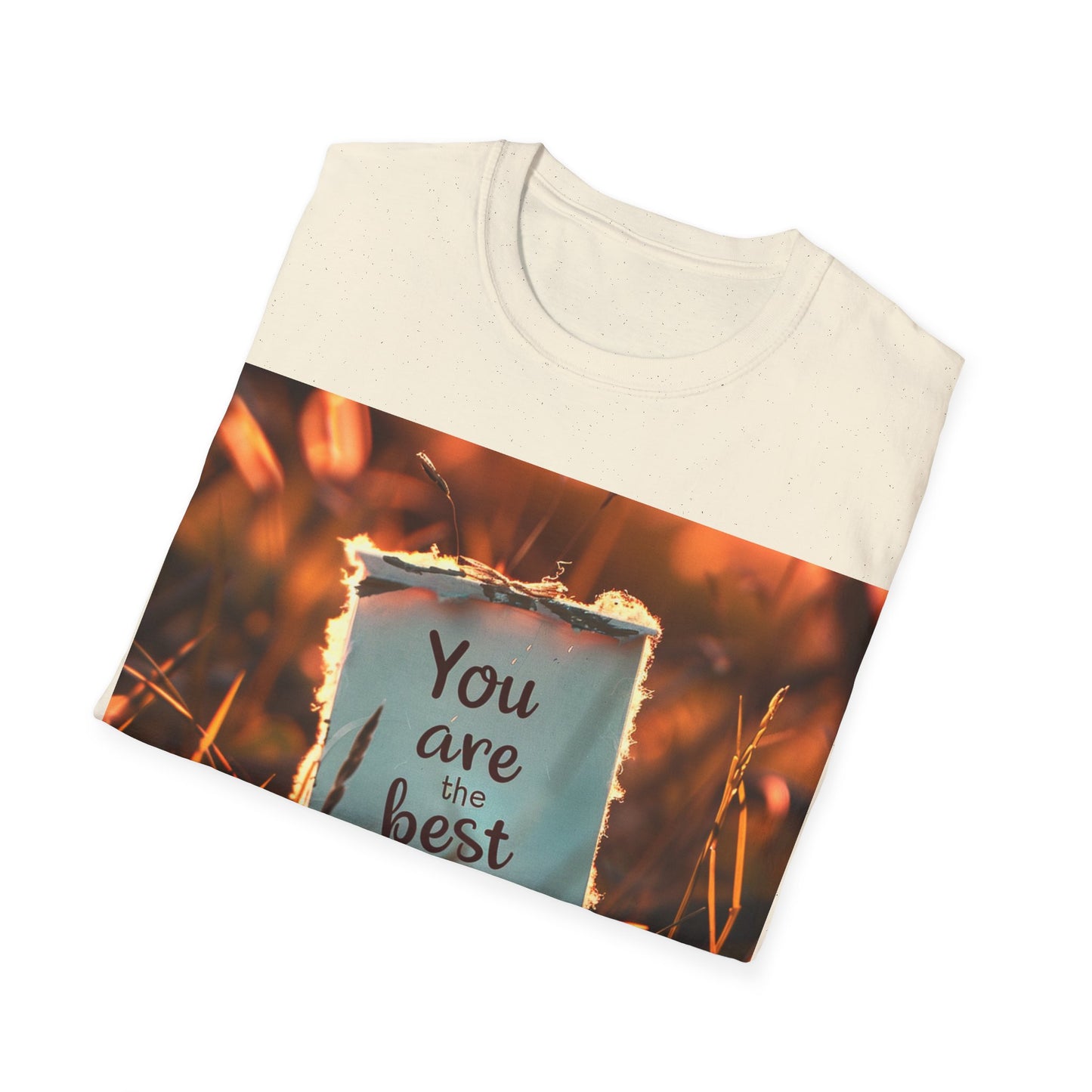 Unisex Softstyle T-Shirt - You are the best 1